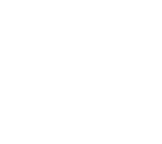 American Board of Plastic Surgery